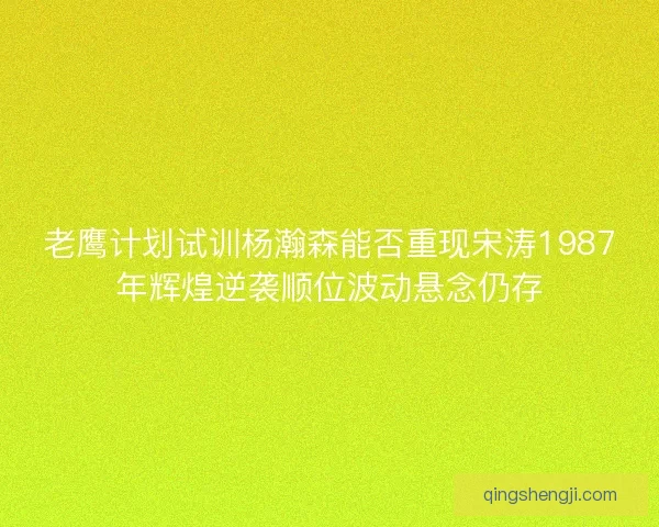 老鹰计划试训杨瀚森能否重现宋涛1987年辉煌逆袭顺位波动悬念仍存