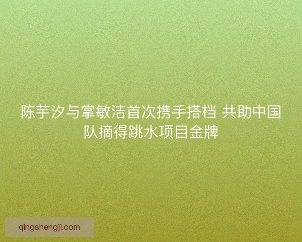 陈芋汐与掌敏洁首次携手搭档 共助中国队摘得跳水项目金牌