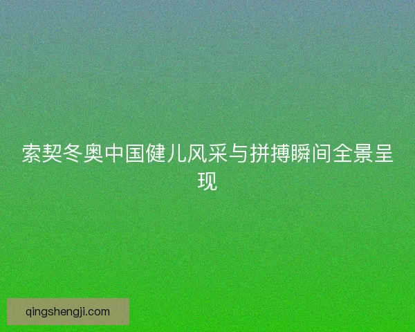 索契冬奥中国健儿风采与拼搏瞬间全景呈现 索契冬奥中国健儿风采与拼搏瞬间全景呈现